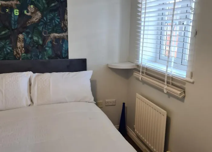 Rays 2 * ミドルズブラ