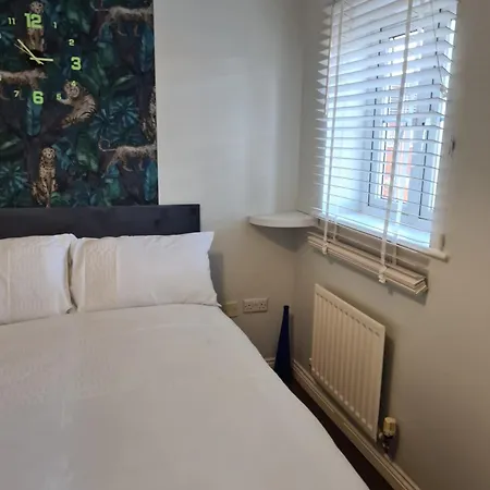 Rays 2 * מידלסבורו